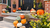 Autumn Harvest Collection