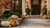 30 curated pumpkins and seasonal gourds styled on a front porch in Western Pennsylvania — Gourd Greetings